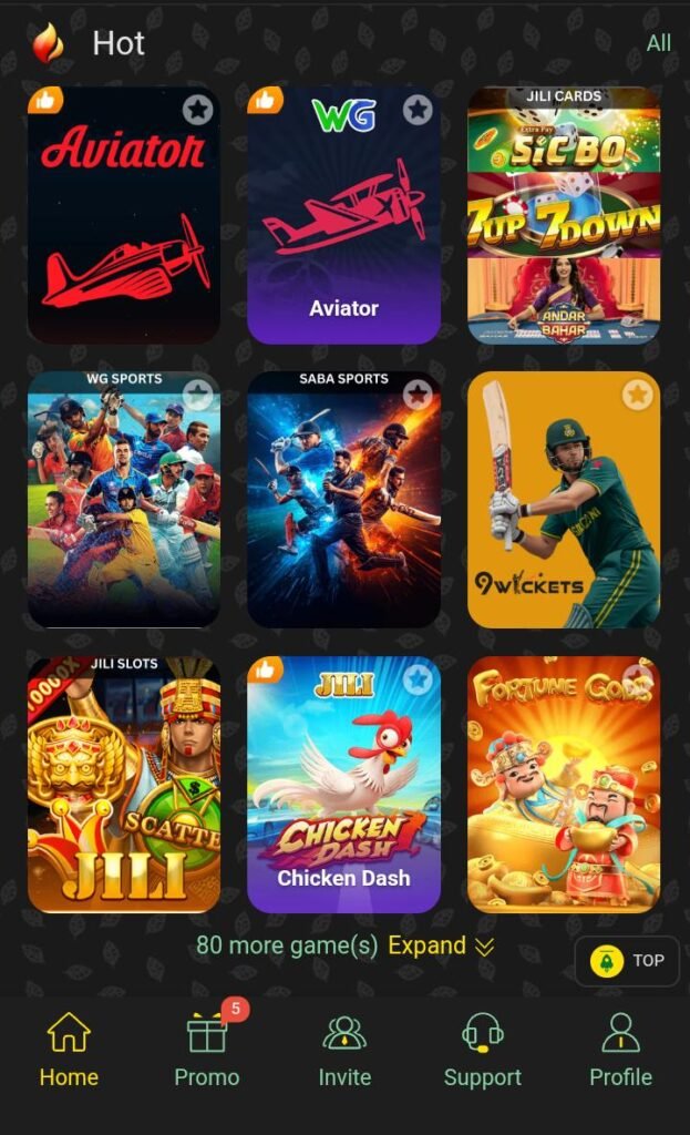 Game interface.
