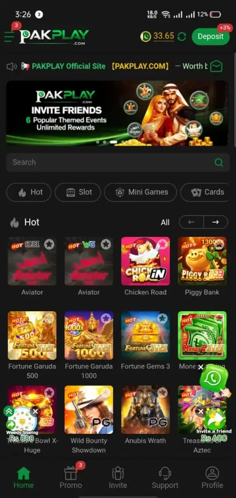 `PakPlay Game 2026 features gameplay and mobile access`